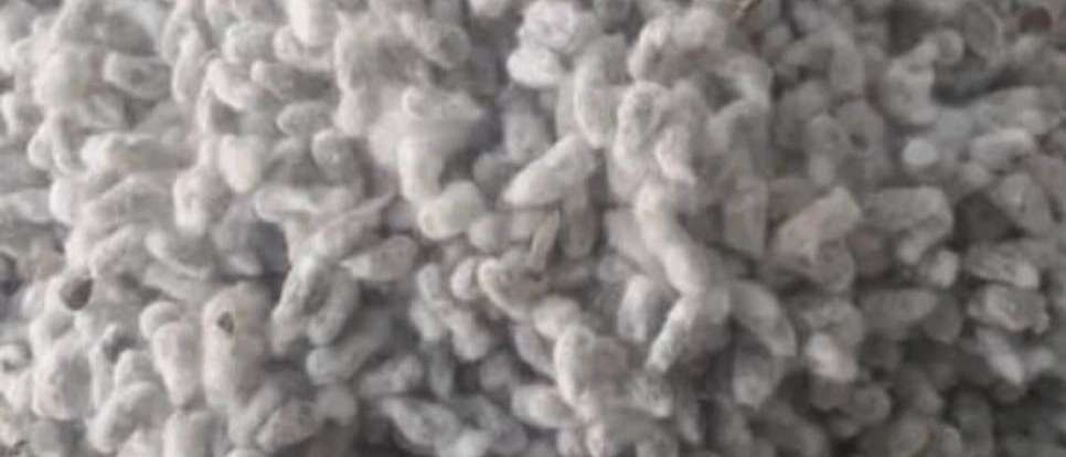 تخم پنبه درجه ۱ و پنبه محلوج