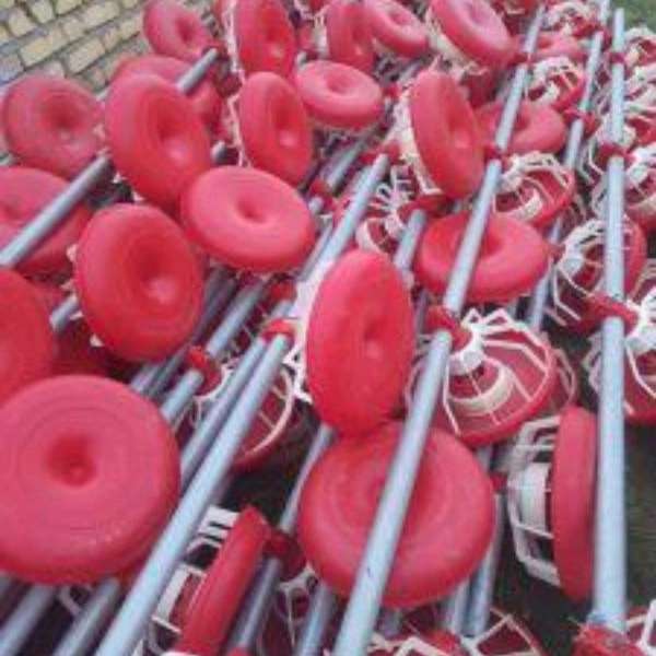 1713347019308.webp