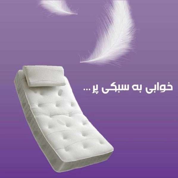 1713953702431.webp
