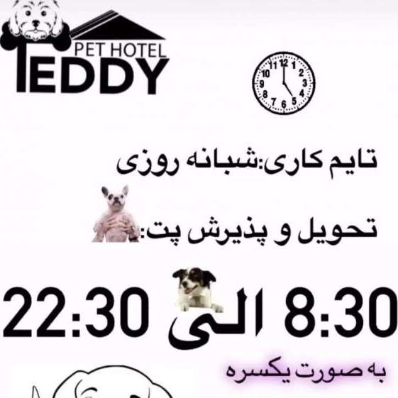 1714479141619.webp
