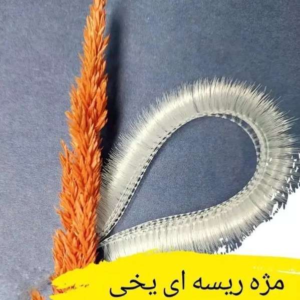 1714644393493.webp