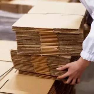1715243909229.webp