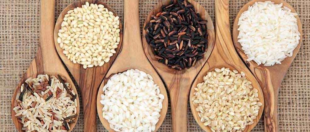 برنج شمال فروش برنج هاشمی طارم