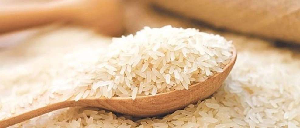 برنج شمال فروش برنج هاشمی طارم