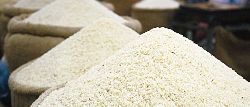 برنج شمال فروش برنج هاشمی طارم