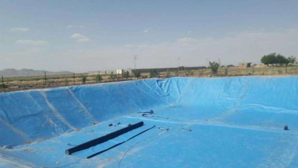 1718705138847.webp