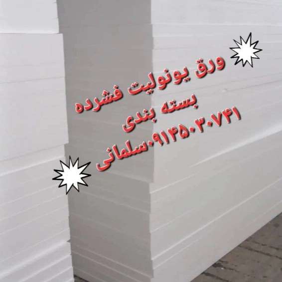 1719662840282.webp