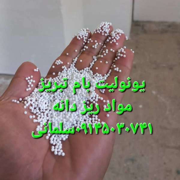 1719662865946.webp
