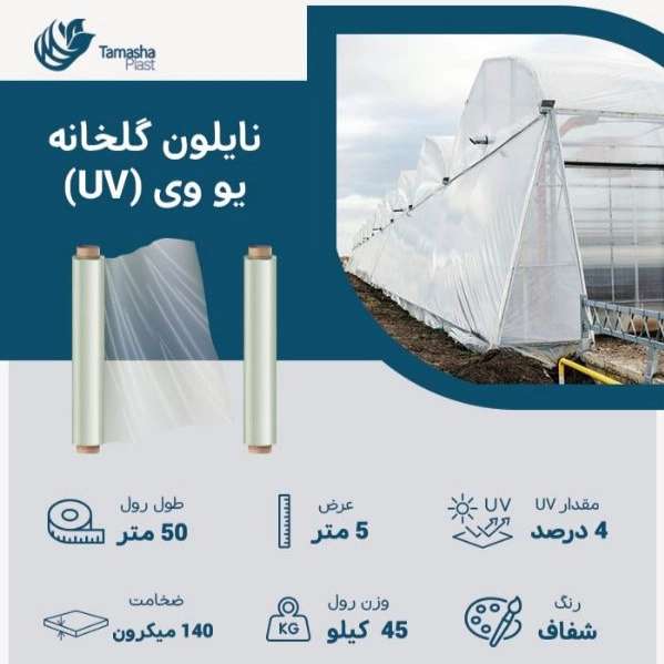 1721889828211.webp