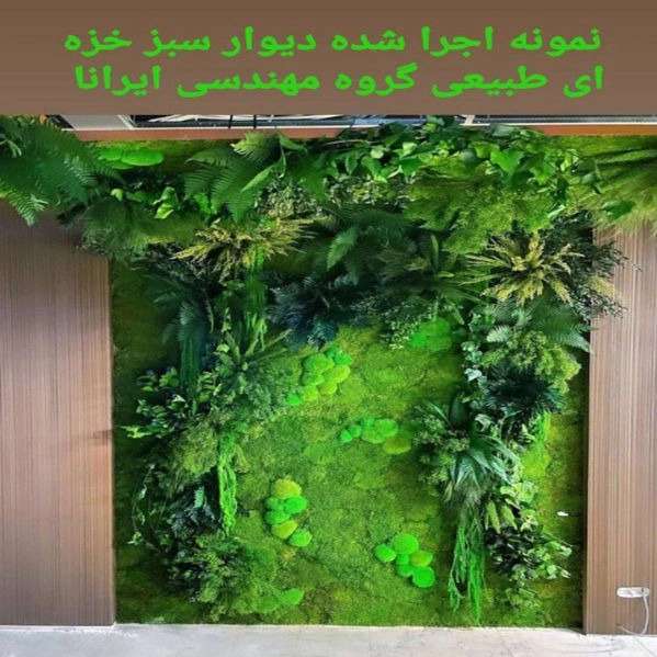 1722070269002.webp
