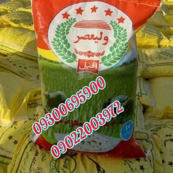 1722761480411.webp
