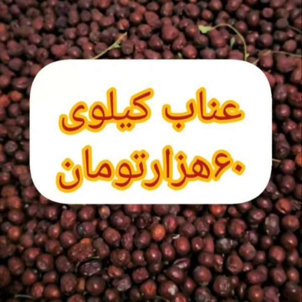 1722769066444.webp