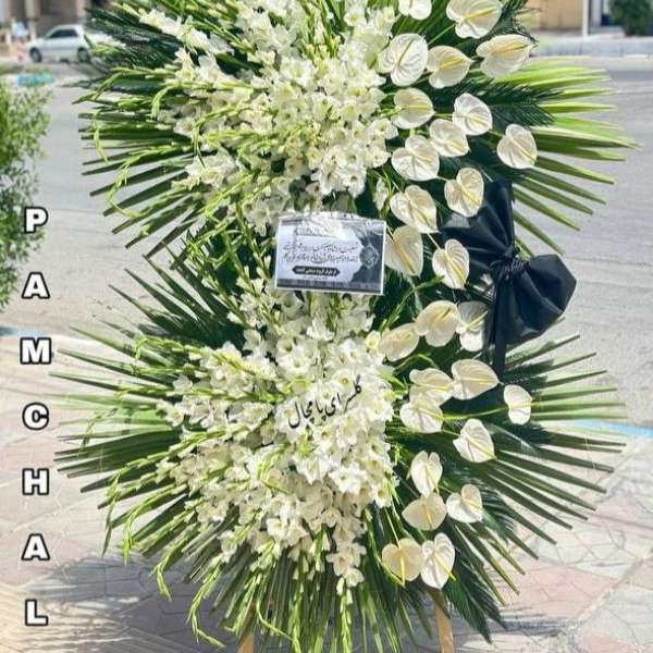 1722847197340.webp