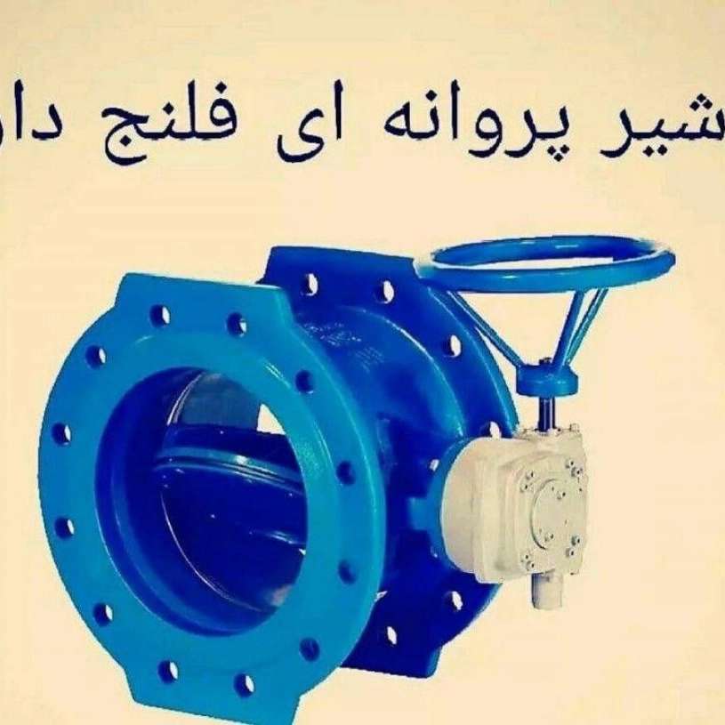 1727080086608.webp