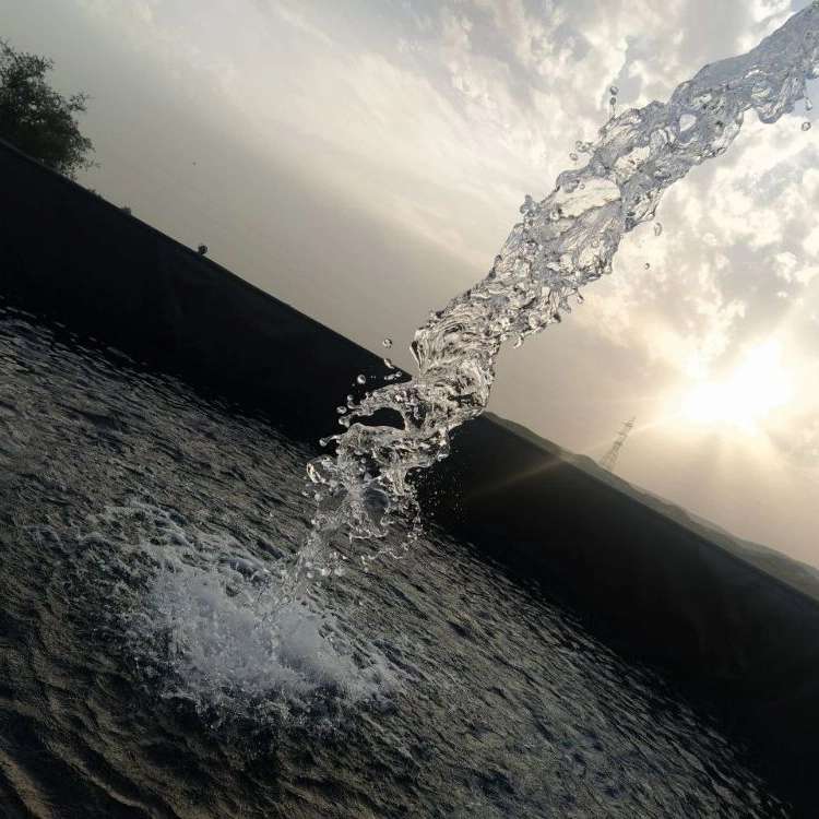 1727256665520.webp