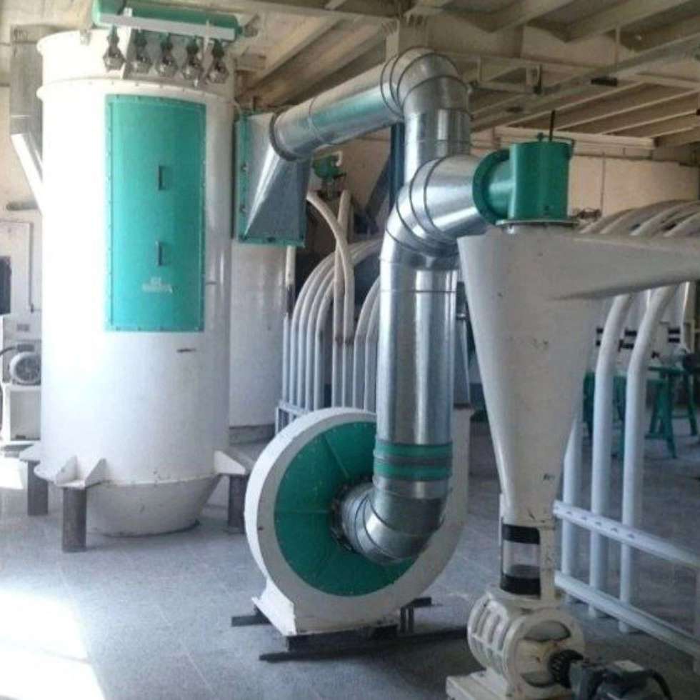 1730108616714.webp