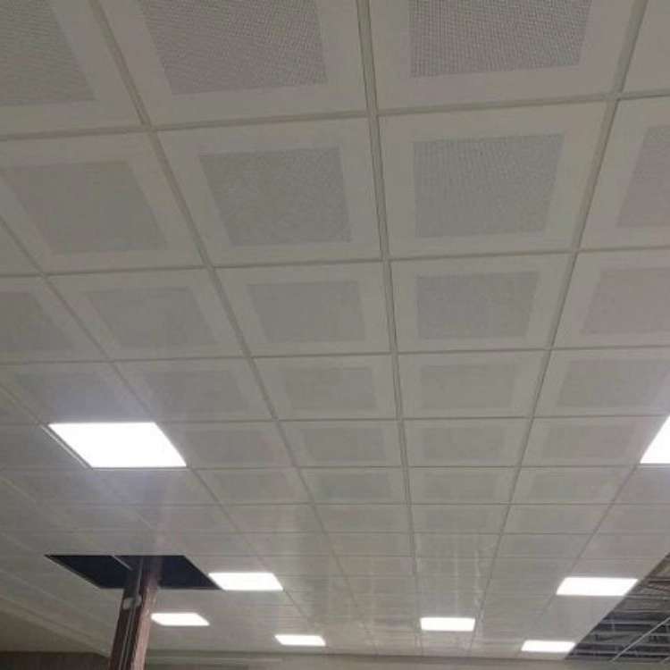 1731835575618.webp