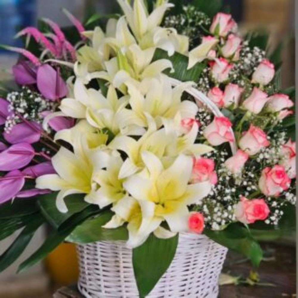 1732174580451.webp