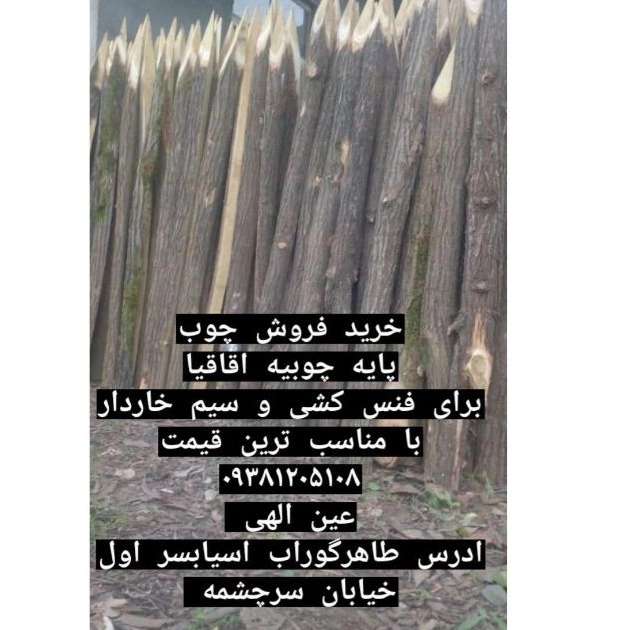 1732512077069.webp