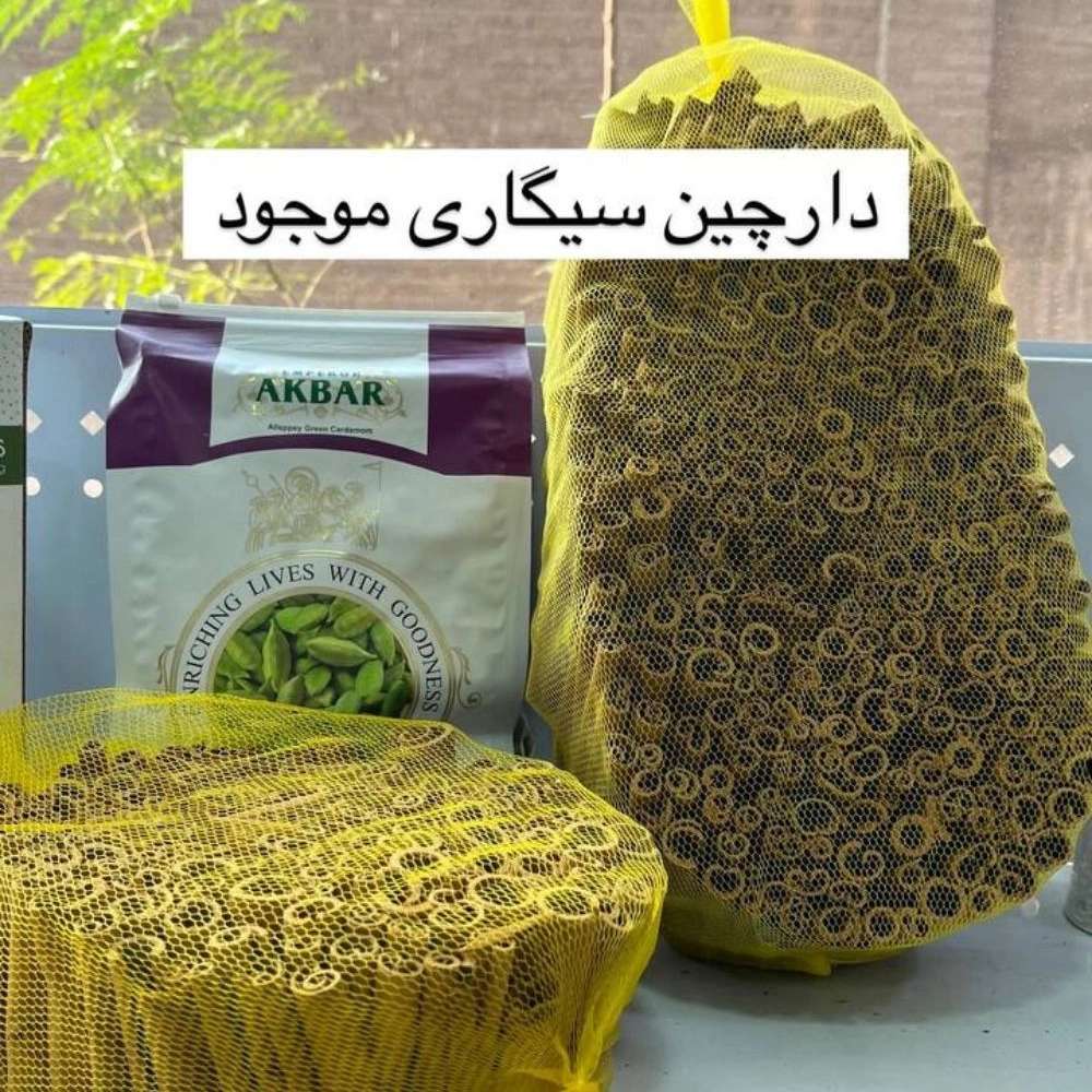 1732947496741.webp