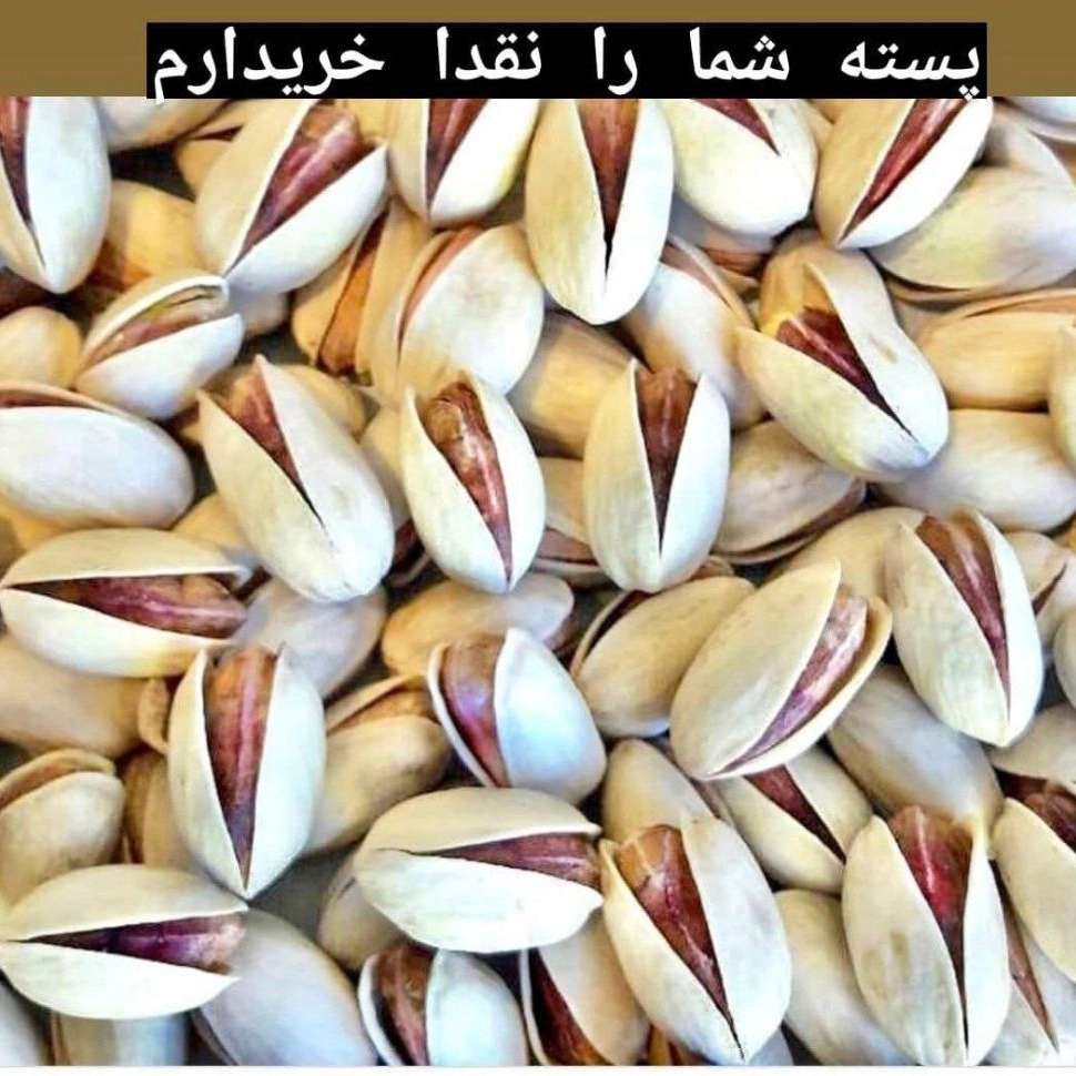 1733036005262.webp