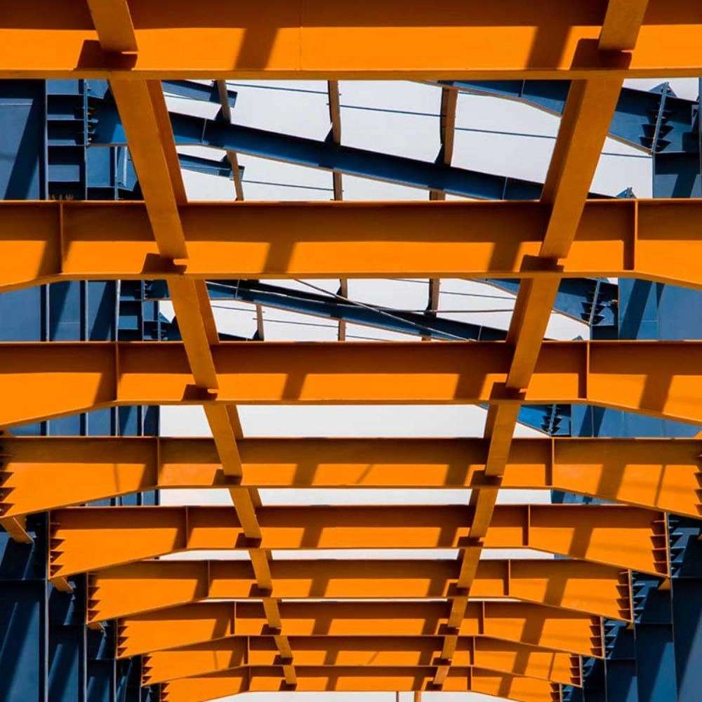 1733312667963.webp