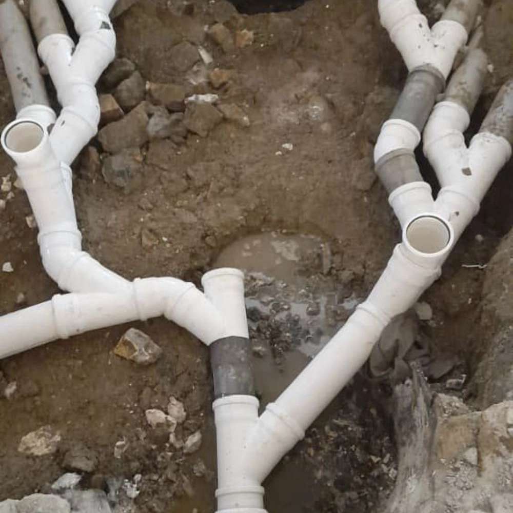 1737375381621.webp