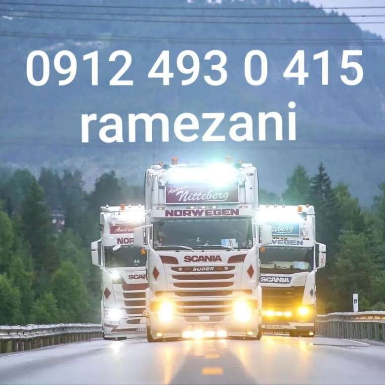 1737801112888.webp