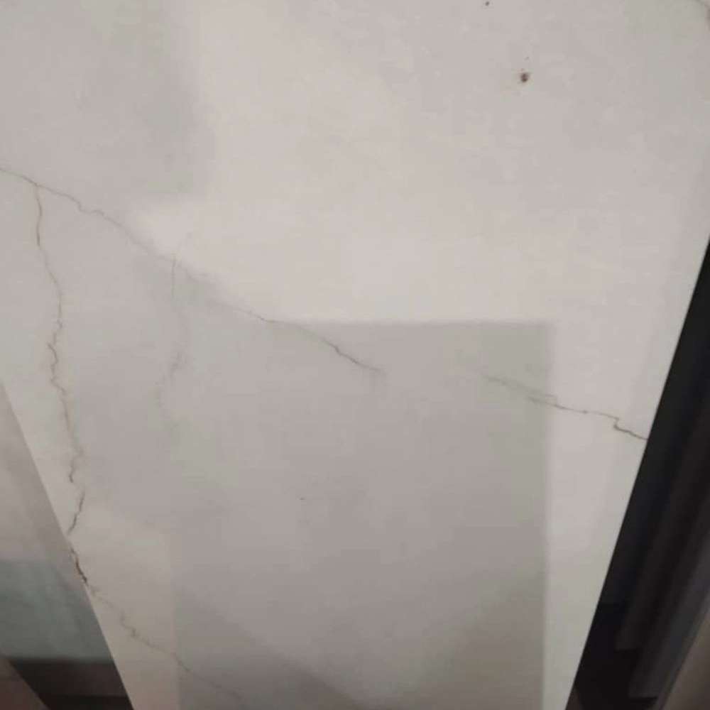 1737869910193.webp