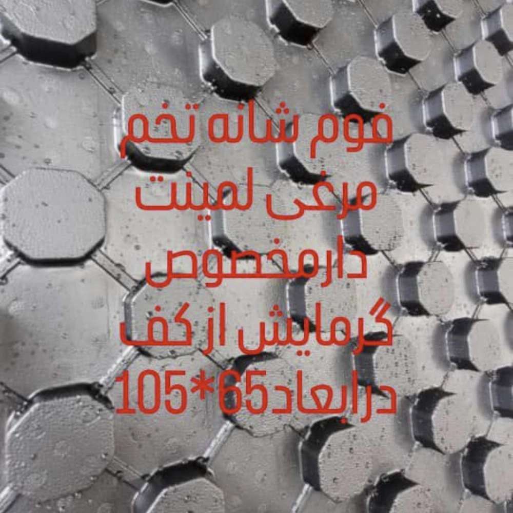1747568281786.webp