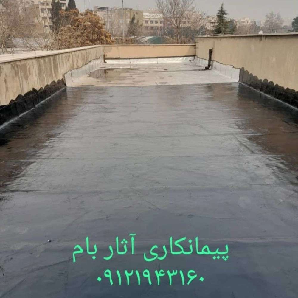 1751917524951.webp