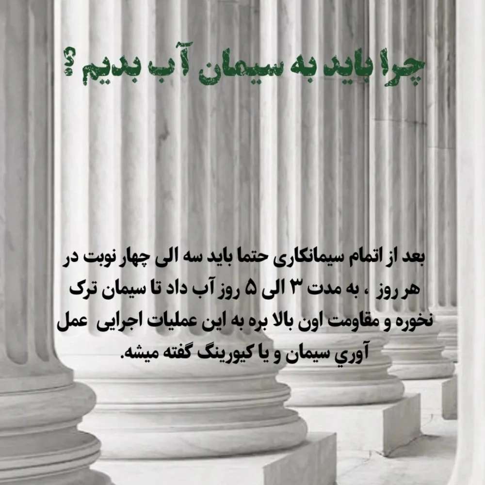 1756590303189.webp