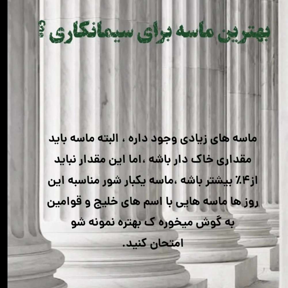 1756590568693.webp