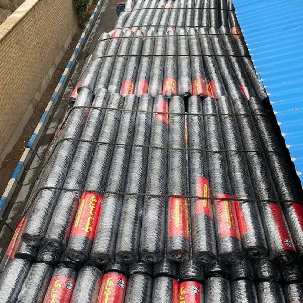 1759901031826.webp