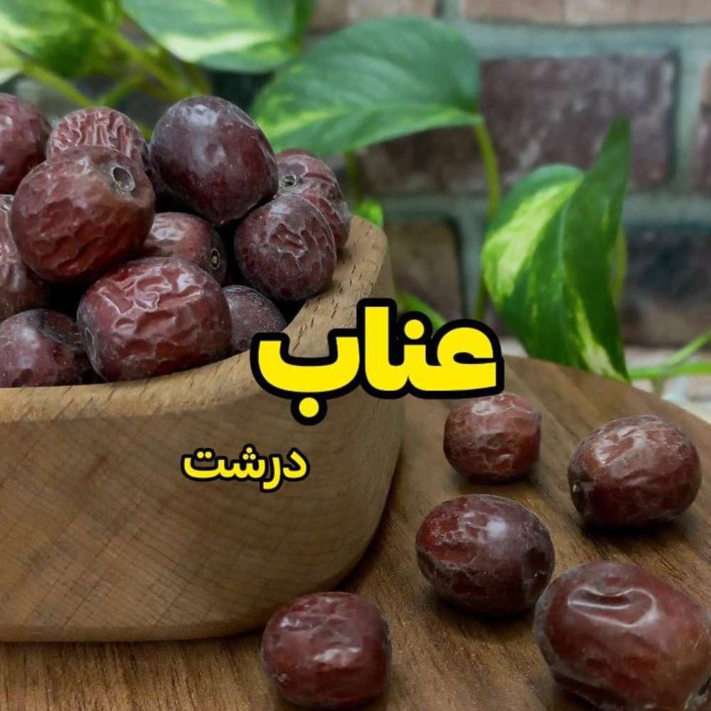 1760444477595.webp