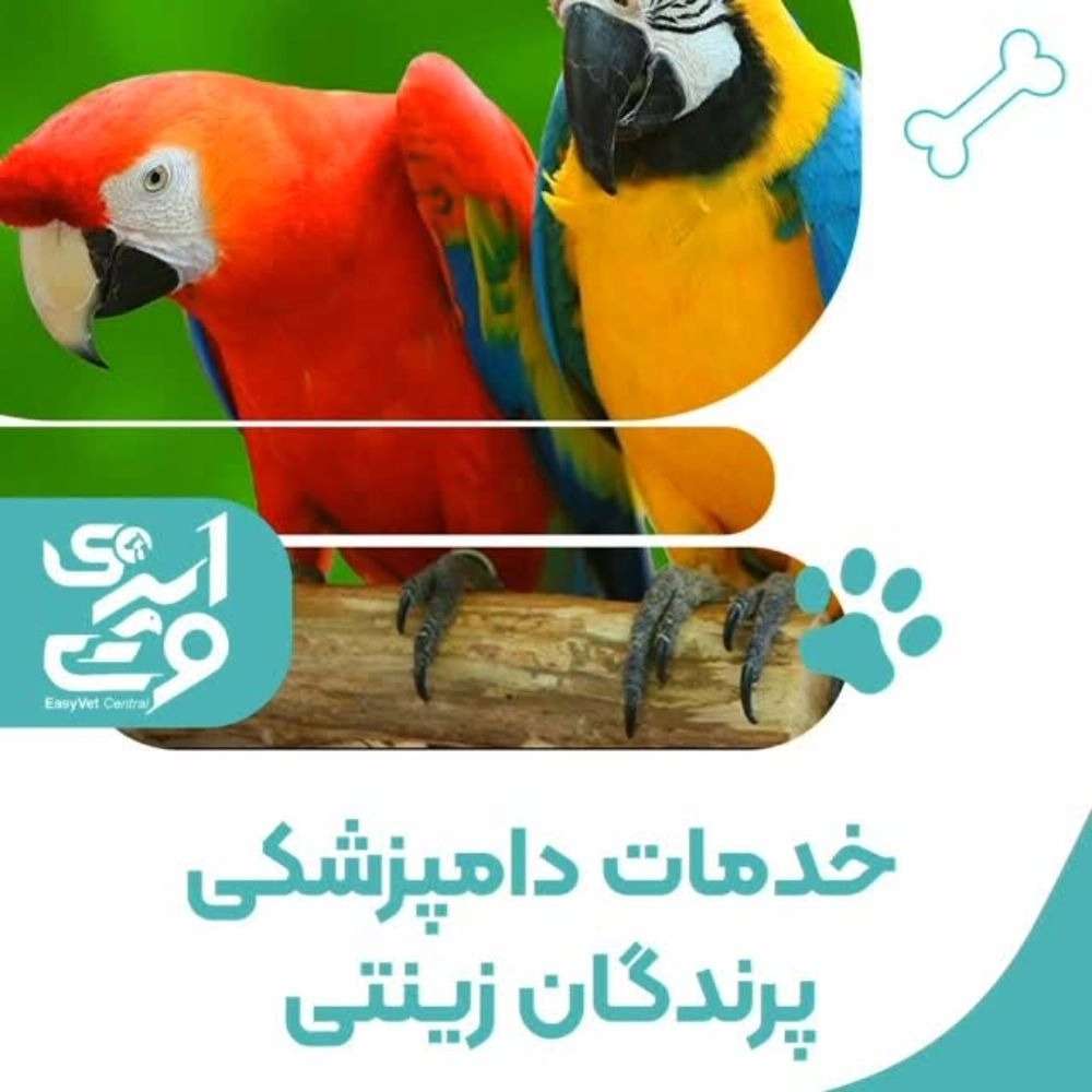 1760776006982.webp