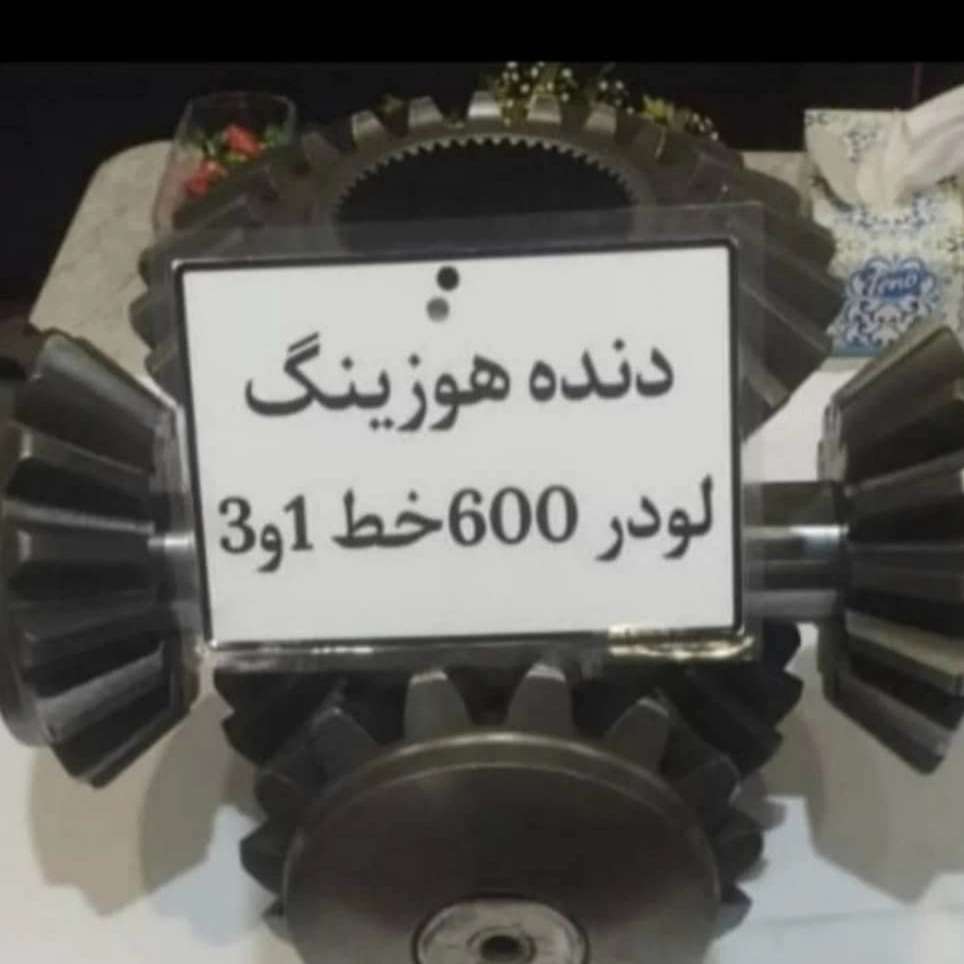 1762940206562.webp