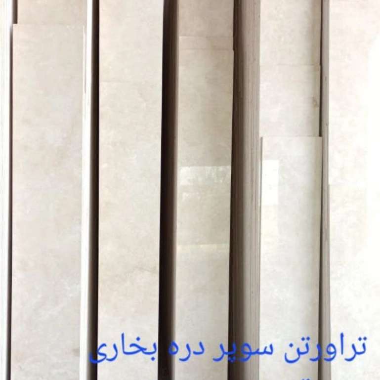 1763459588144.webp