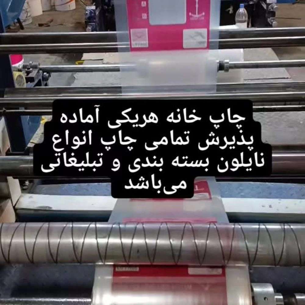 1765273629527.webp