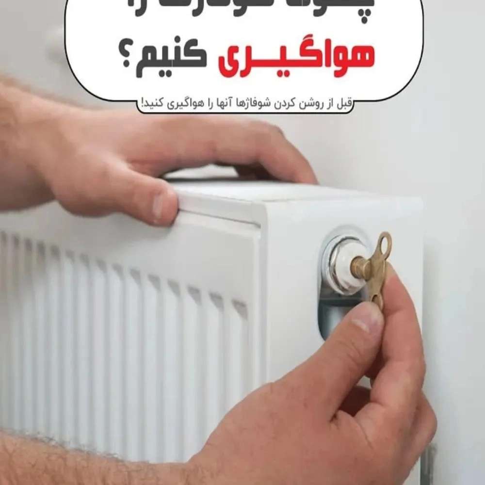 1765345799276.webp