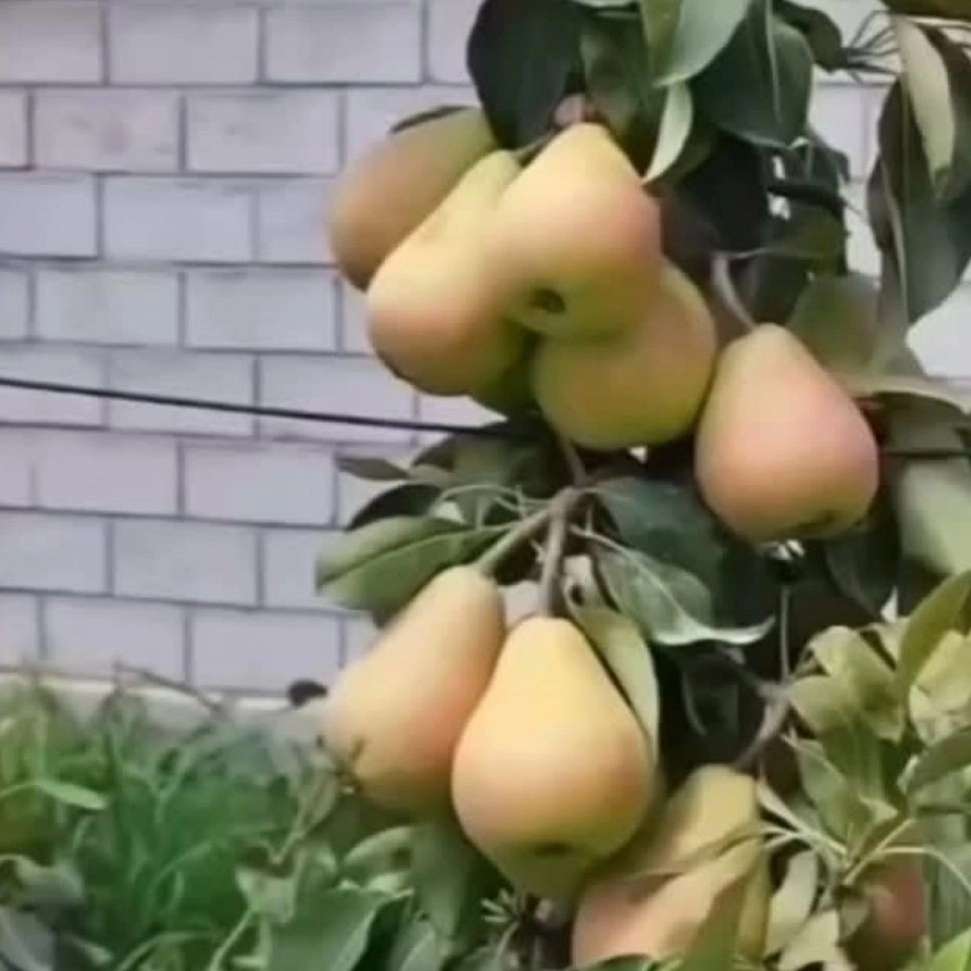 1766209468359.webp