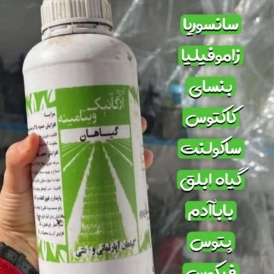 1766381772467.webp