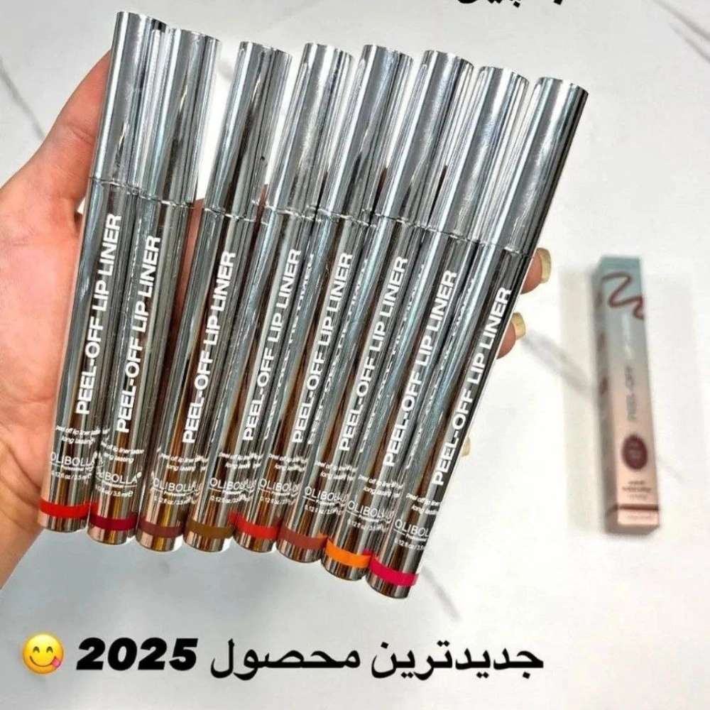 1766490323058.webp