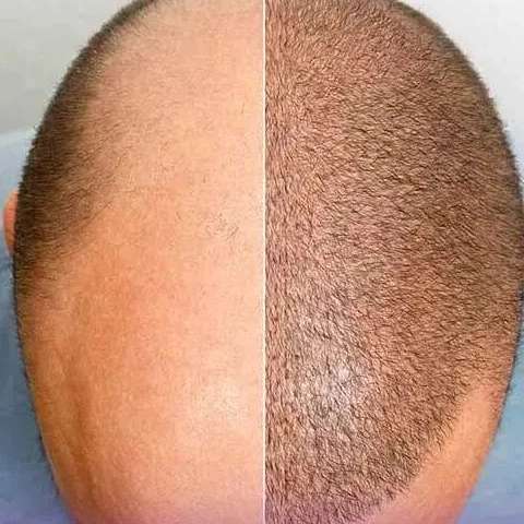 1770619422181.webp