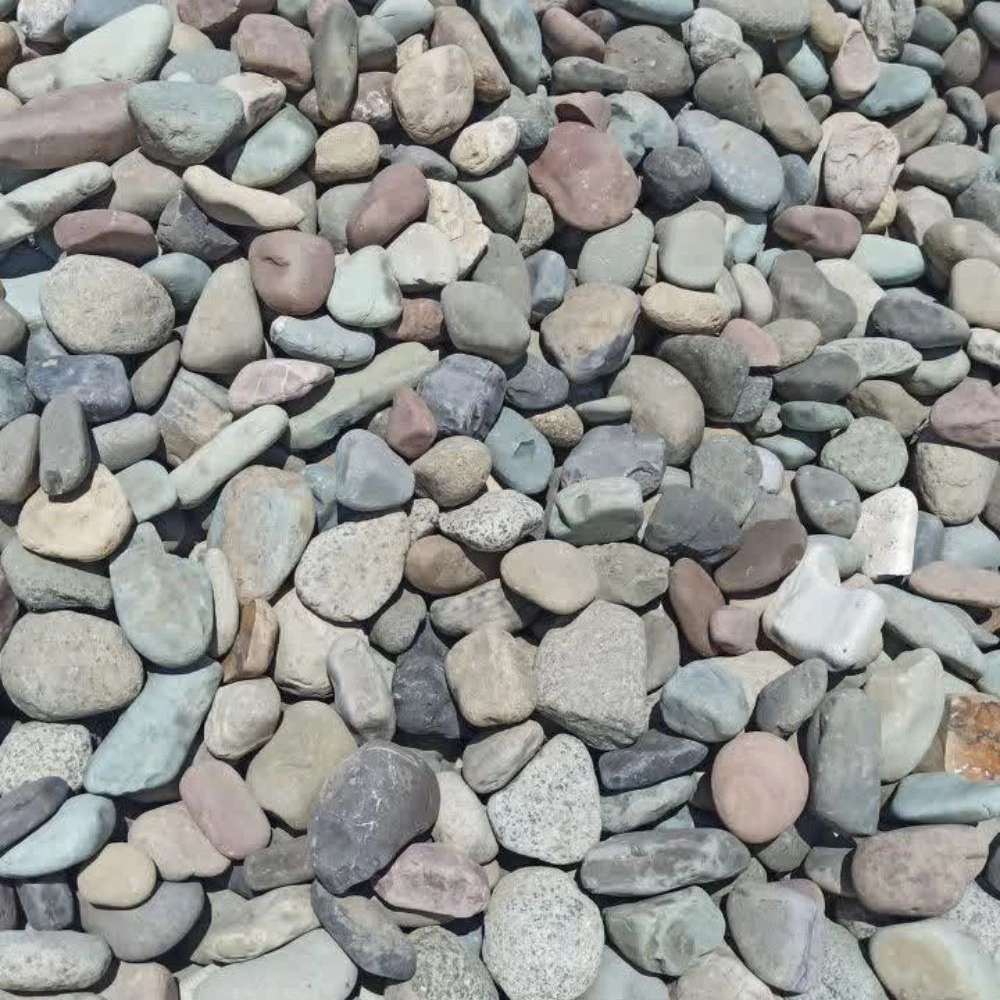 1771244841691.webp