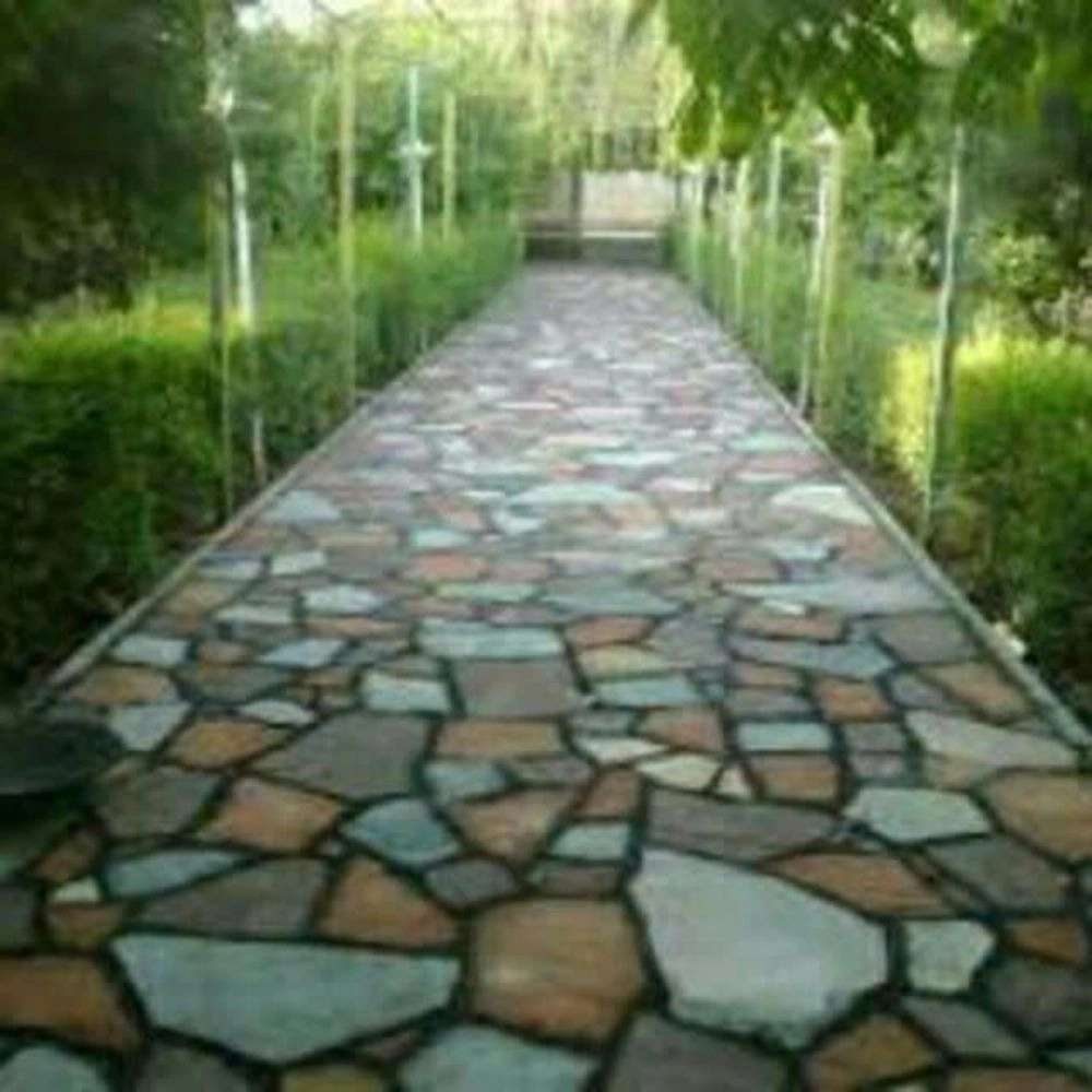 1771244862067.webp