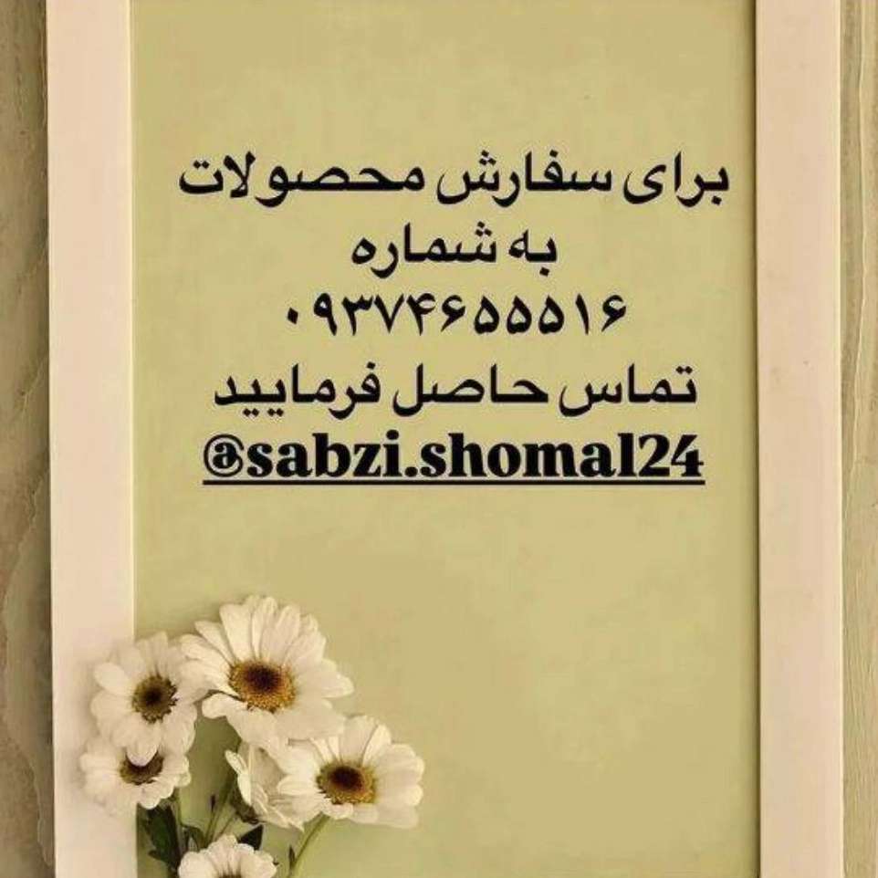 1773645032217.webp