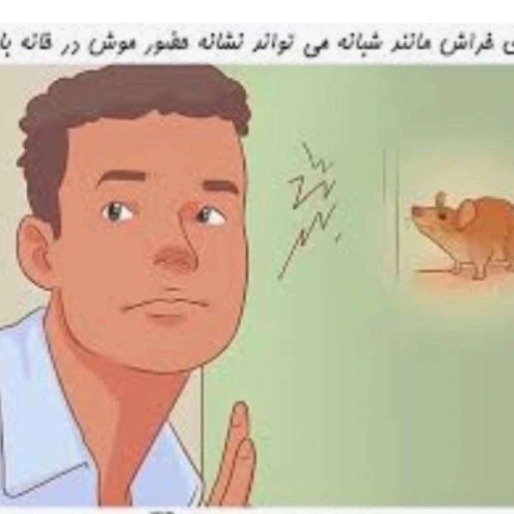1773652313174.webp
