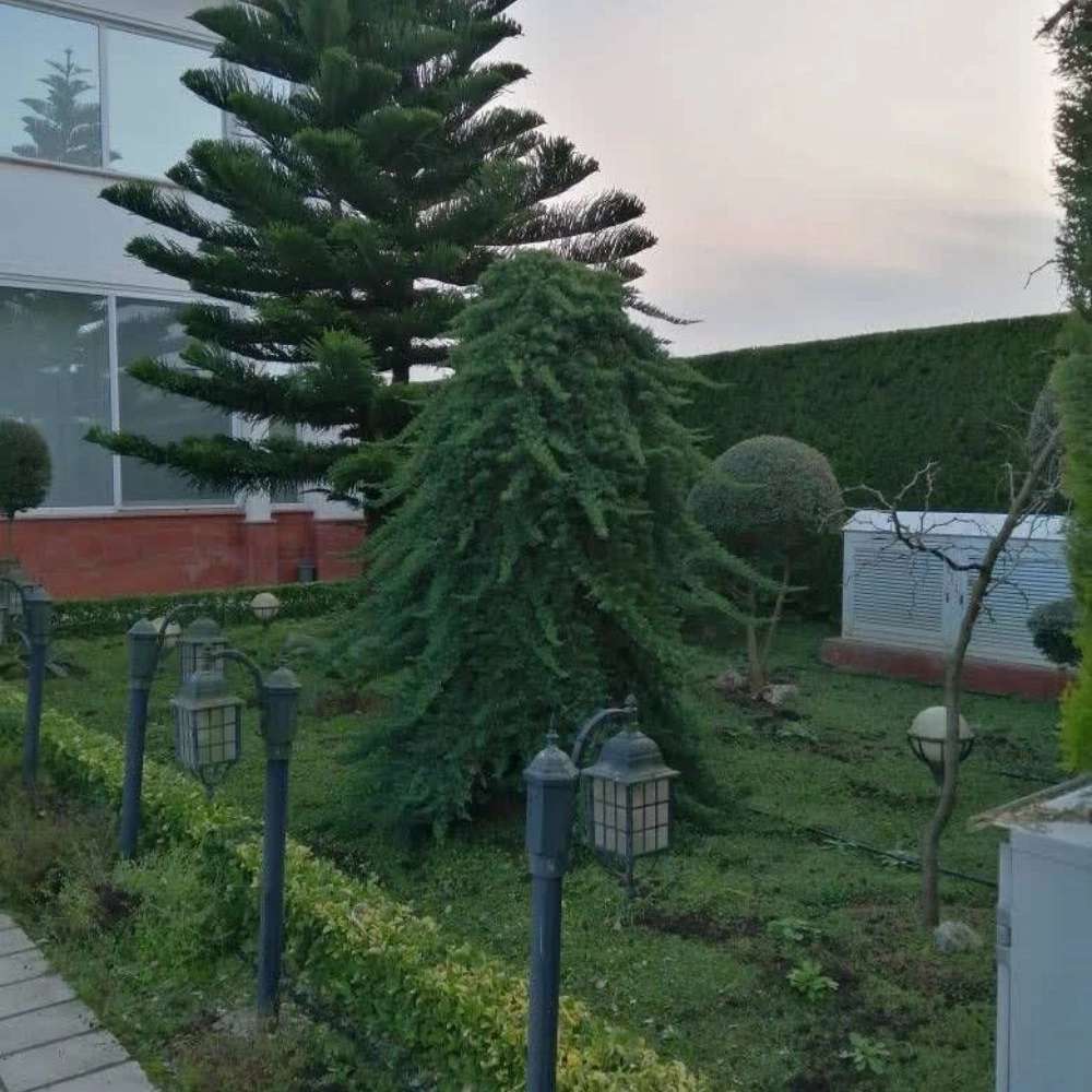 1775979615669.webp
