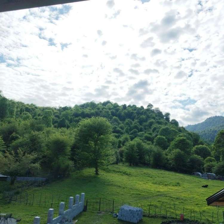 1775992491164.webp